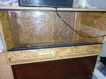 Terarium - 1