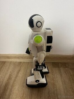 Robot Zigy
