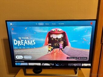 Sony Bravia KDL-40WE665, 40 (101 cm)