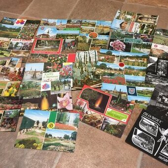 staré pohledy Olomouc výstava Flora - 1