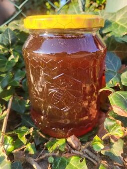 Včelí med ze Šumavy