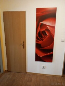 Dekorace panel na zed