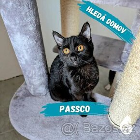 Passco