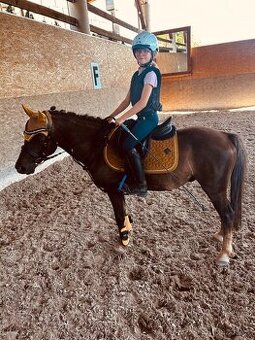 Predam sikovneho S pony