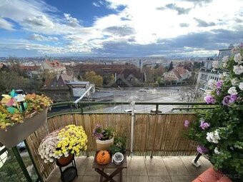 Prodej byty 3+kk, 75 m2 + 3 m2 balkon - Praha - Vinohrady