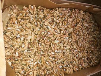 Vlašské ořechy - jádra