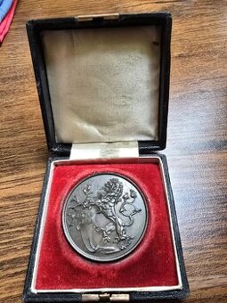 KRÁSNÁ STARÁ MEDAILE V ETUJI 1891