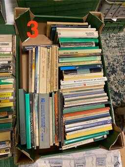 Krabice plné detektivek