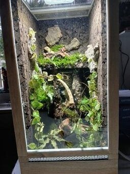 terárium