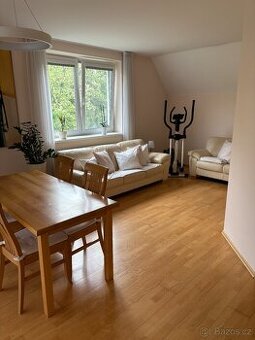 Pronájem jednolůžkového pokoje Brno Jundrov