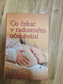 Co čekat v radostném očekávání