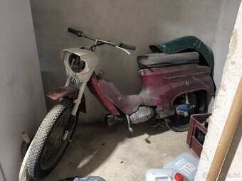 Jawa pionyr