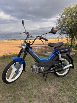 Manet Korado Maxi
