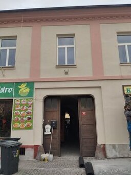 Pronajmu prostory na vánoční stromky