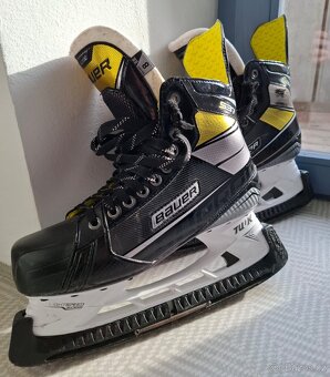 Brusle Bauer, taška Fischer