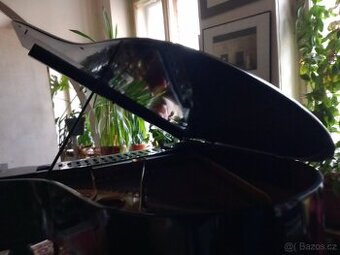 Koncertní křídlo Petrof