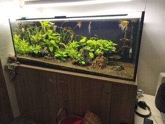 Akvárium 500L  1506060