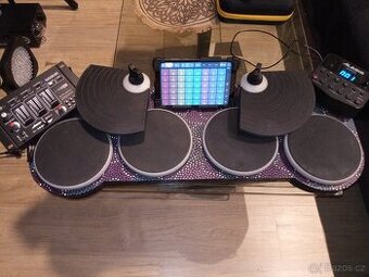 Alesis dm lite