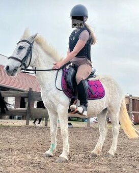 Ponička