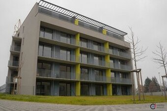 Pronájem bytu 2+kk s předzahrádkou, 45 m2 - Chrudim - 1