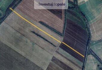 Prodej pole v k.ú. Malá Vrbka