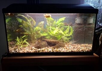 Akvárium se skřínkou