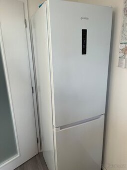 Lednice GORENJE N619EAW4