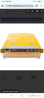 Líheň na 100 vajec