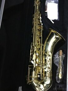 Alt Saxofon Startore SAS-75 - 1