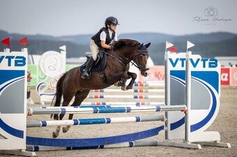 TOP sportovní pony A učitel