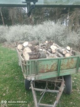 Palivové dřevo