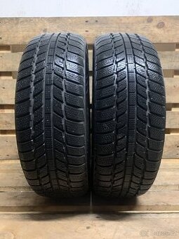 2ks 185/60/15 Evergreen/2019/88H/zimní 7.3m