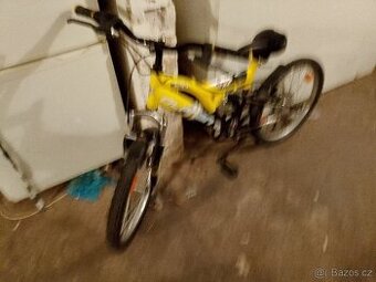 Detke horske olo Olpran