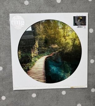 Skleněný obraz Cesta