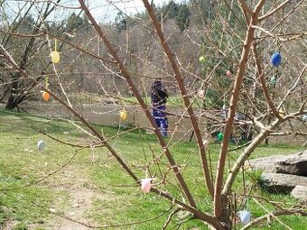 Nabídka brigády různé pomocné práce