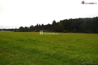 Pozemek 6 490m2, Benátky nad Jizerou