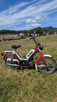 Babetta 210