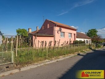 Hrušovany nad Jevišovkou, RD 4+1, zahrada, sklepy, letní kuc