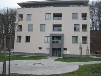 Pronájem bytu Kvasiny - 1