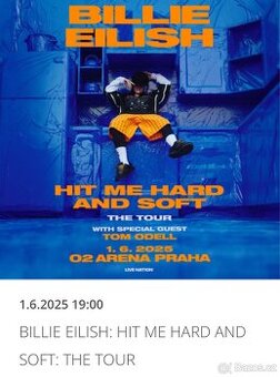 BILLIE EILISH VIP klubové patro