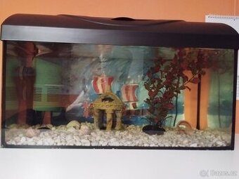 Akvárium 60 l