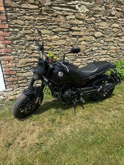 Benelli leoncino 500