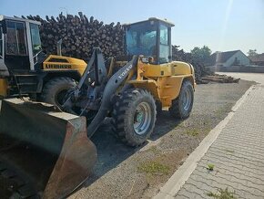 Volvo L45B - 1