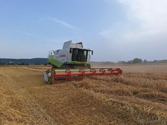 Realizujeme sklizeň (žně) obilovin pro rok 2025