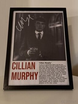 Clillian Murphy - Thomas Shelby (Peaky Blinders)