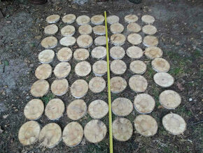 Placky bříza,kolečka a šikmé placky z břízy i jiného dřeva