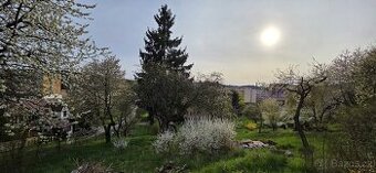 Zahrada v Hostinném