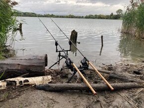 Daiwa basia