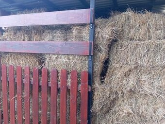 Pšenice 22e a seno 2.7 e kus
