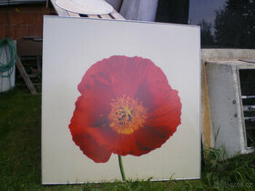 Velkoplošný obraz v hliníkovém rámu - 135 x 135 cm.